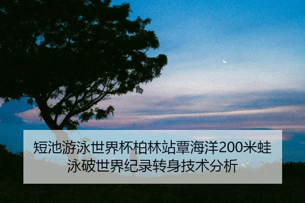 duan-chi-you-yong-shi-jie-bei-bo-lin-zhan-tan-hai-yang-mi-wa-yong-po-shi-jie-ji-lu-zhuan-shen-ji-shu-fen-xi-2-919.jpg
